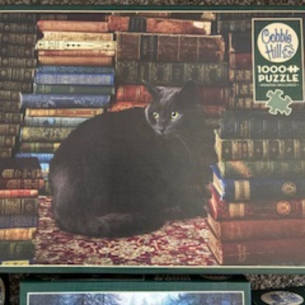 Puzzles - Cobble Hill 1000 Piece  (6 Puzzles) $5.00 EACH